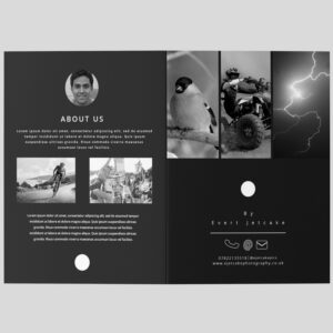 image shows creased leaflets